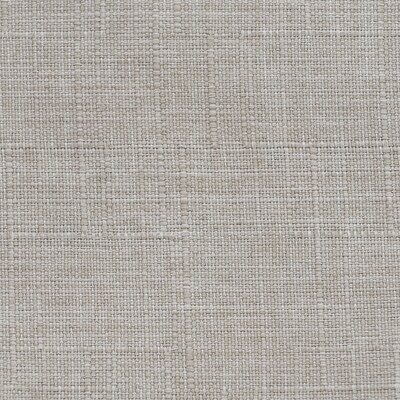 Tommy Hilfiger Waltham Dining Chair, Light Gray, 2/Set (CHR20088A)