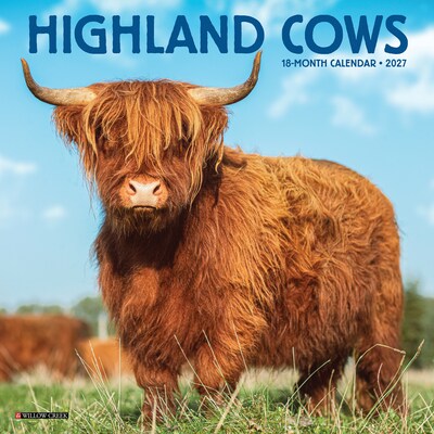 2027 Willow Creek Highland Cows 7 x 7 Monthly Wall Calendar, Assorted Colors (65563)