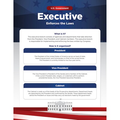 North Star Teacher Resources 17" x 22" U.S. Government Bulletin Board Set, 4/Set (NST3505)