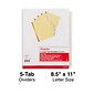 Insertable Big Tab Dividers, 5-Tab, Clear