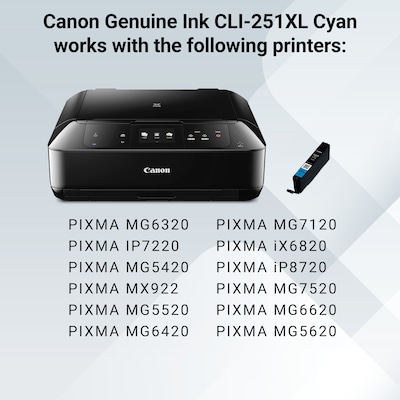 Canon 251XL Cyan High Yield Ink Cartridge (6449B001)