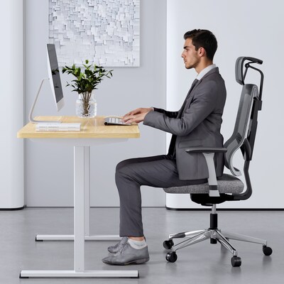 FlexiSpot ET155E 48"W Electric Rectangular Adjustable Standing Desk, Maple/White