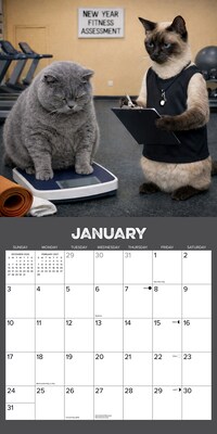 2027 Willow Creek Gym Cats  12" x 12" Monthly Wall Calendar (65280)