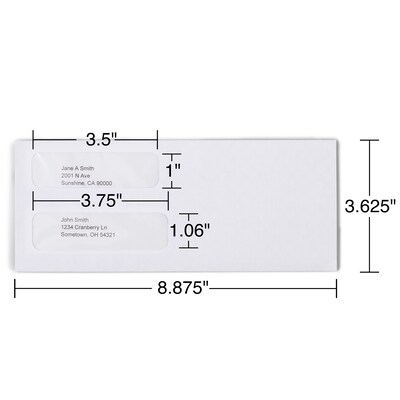 Staples Laser Check Size Double-Window Security-Tint Gummed Envelopes, 1,000/Box (381898/17046)