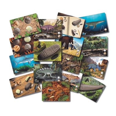 Yellow Door Prehistoric Teeth Explore and Discover Activity Cards, 16/Set (YUS1203)