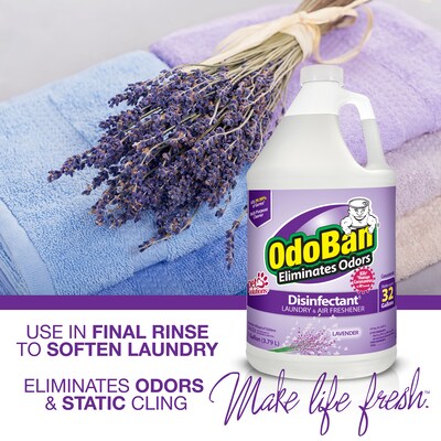 OdoBan Air Freshener & Deodorizer, Lavender Scent, 1 Gallon (911101-G4)