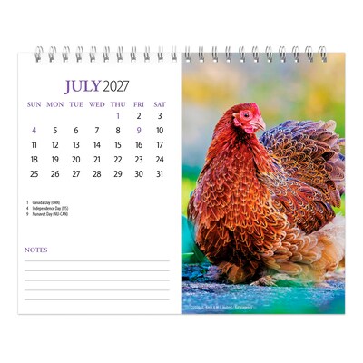 2027 BrownTrout Chickens 7.5" x 6" Monthly Wall Calendar, Assorted Colors (9798330709380)