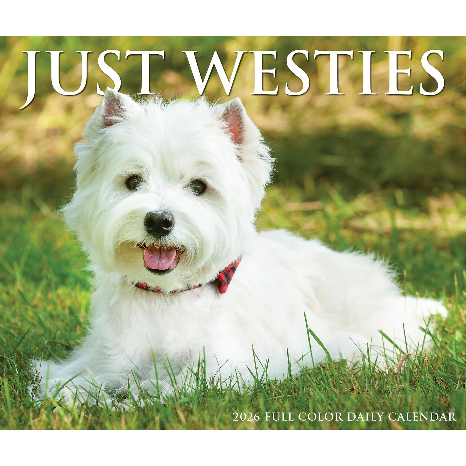 2026 Willow Creek Westies 6.2 x 5.4 Day-to-Day Calendar (54499)