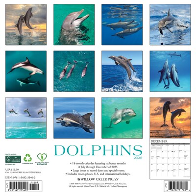 2026 Willow Creek Dolphins 12 x 12 Monthly Wall Calendar (55403)