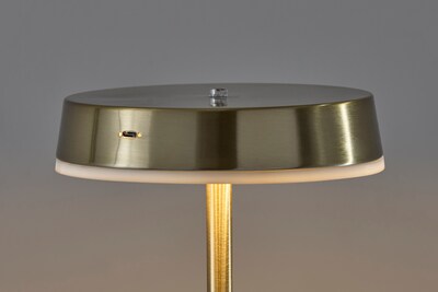 Adesso Mira 55" Antique Brass Floor Lamp with Disc-Shaped Shade (2612-21)