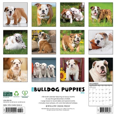 2026 Willow Creek Bulldog Puppies 12 x 12 Monthly Wall Calendar (50422)