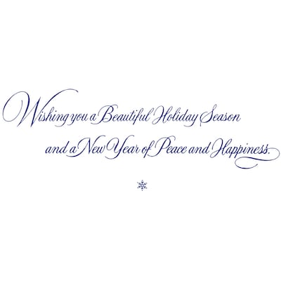 Simply Stunning Christmas Greeting Cards; Stock Verse Included; Boxed Set of 25 Cards and Envelopes