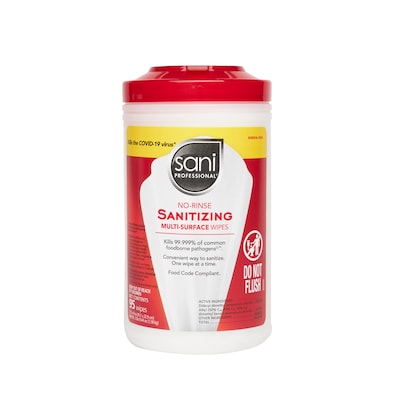Sani Professional Sani-Wipe Multi-Surface Sanitizing Wipes, 95 Wipes/Pack, 6/Carton (P56784CT)