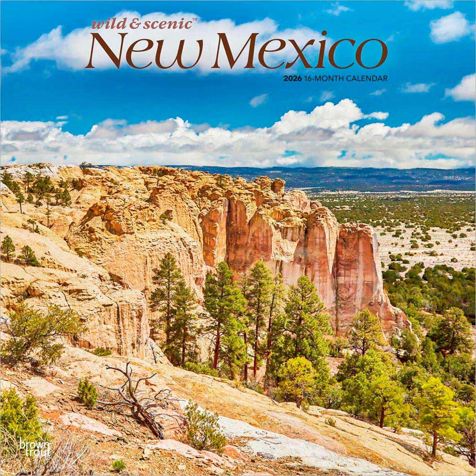 2026 BrownTrout New Mexico Wild & Scenic 12 x 12 Monthly Wall Calendar (9798330704859)