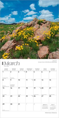 2026 BrownTrout Oklahoma Wild & Scenic 12" x 12" Monthly Wall Calendar (9798330704965)