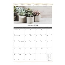 2024 Blueline Succulent Plants 12 x 17 Monthly Wall Calendar (C173121)
