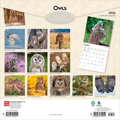 2026 BrownTrout Owls 12 x 12 Monthly Wall Calendar (9798330705054)