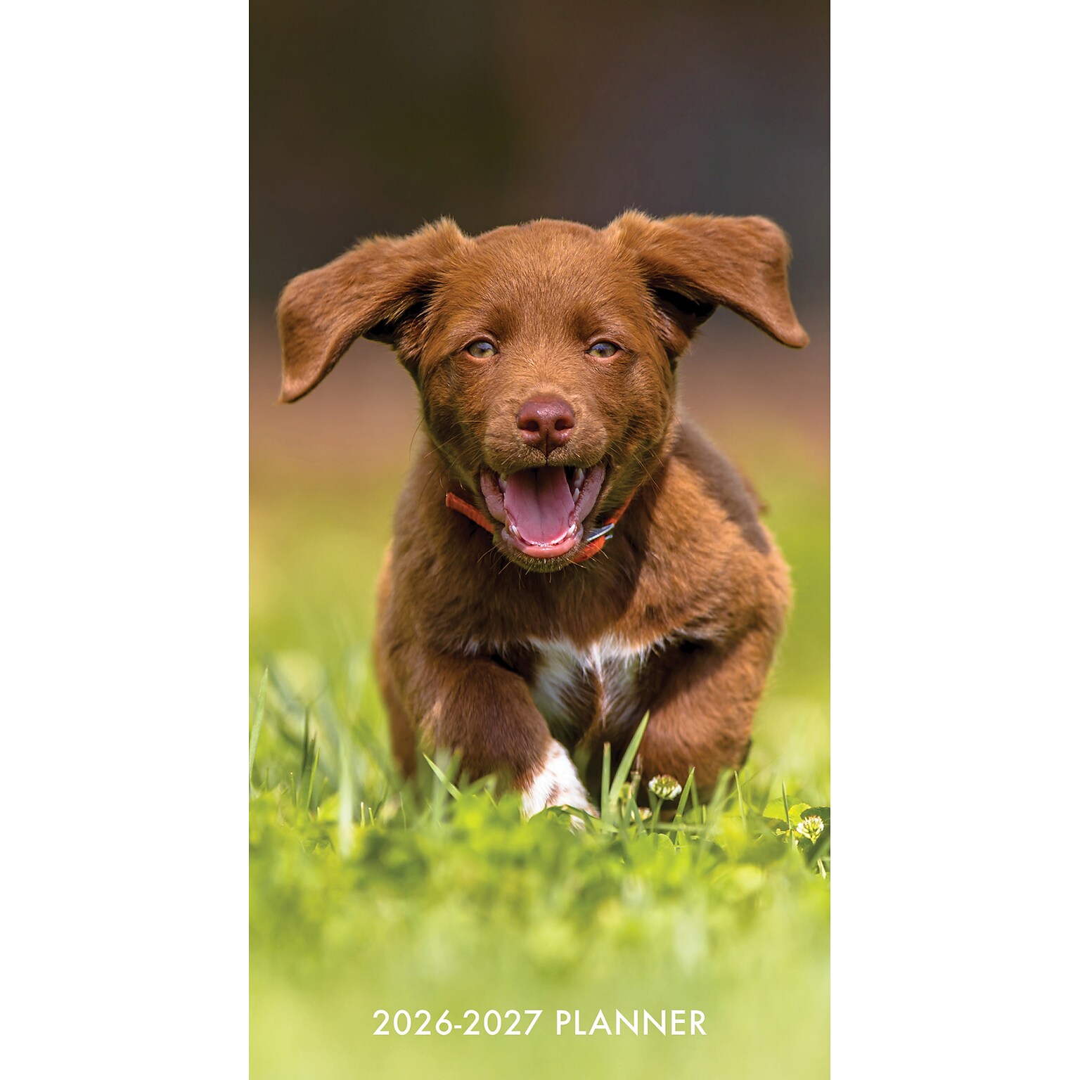 2026-2027 Willow Creek 3.5 x 6.5 Monthly Planner Cover (56622)