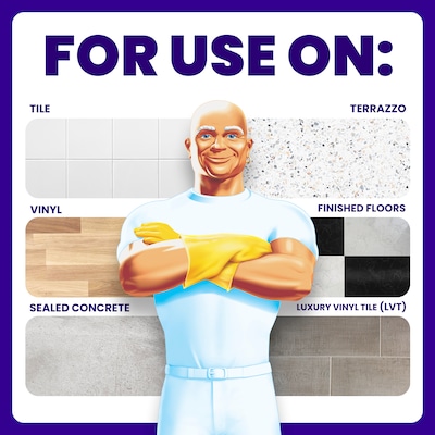 Mr. Clean Professional All Purpose Floor Cleaner, Lemon Scent, 1 Gallon (02621)