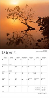 2026 BrownTrout Missouri Wild & Scenic 12" x 12" Monthly Wall Calendar (9798330704620)