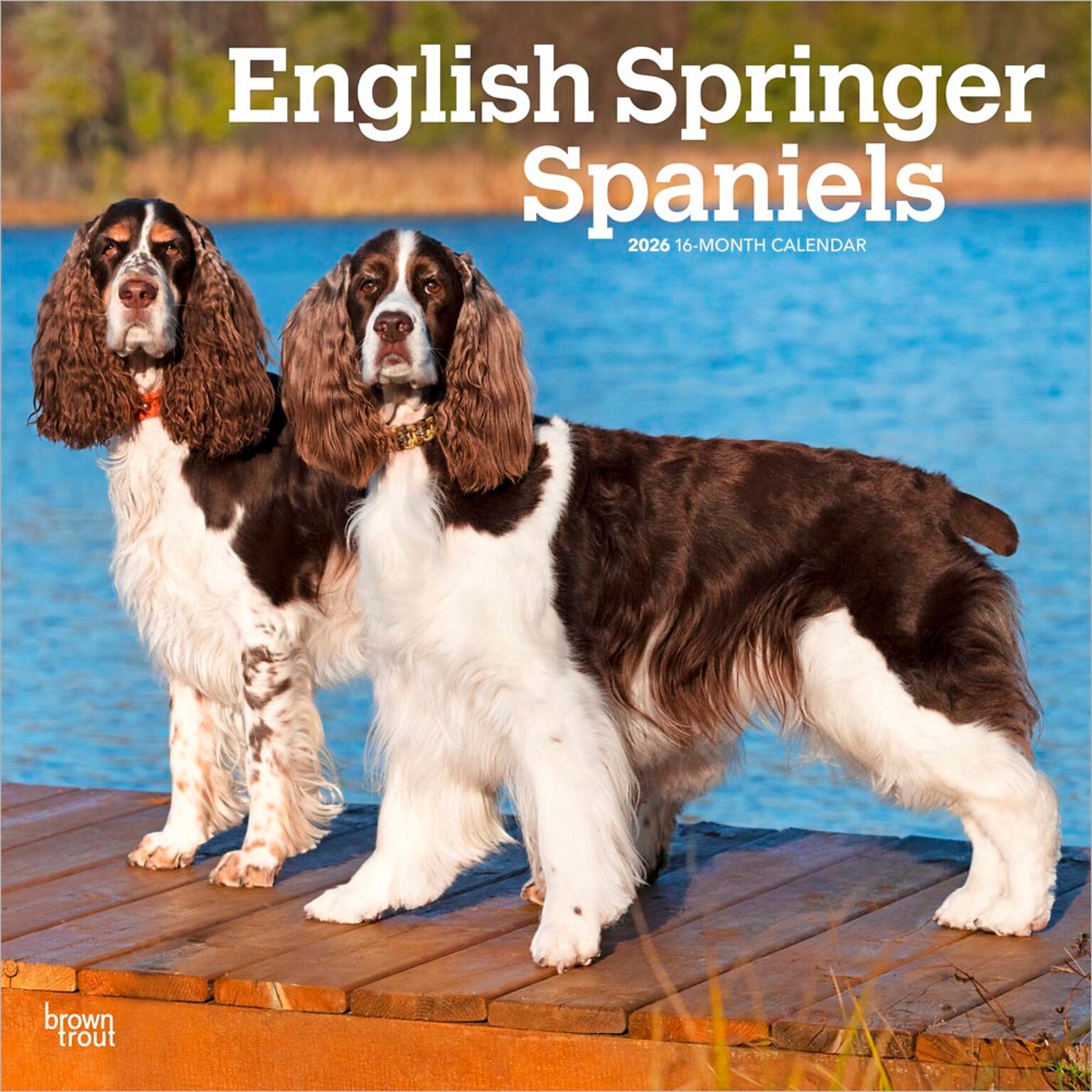 2026 BrownTrout English Springer Spaniels 12 x 12 Monthly Wall Calendar (9798330703227)