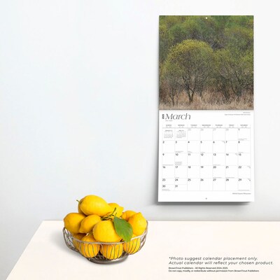 2025 BrownTrout Wisconsin Wild & Scenic 12" x 12" Monthly Square Wall Calendar (9781975475956)