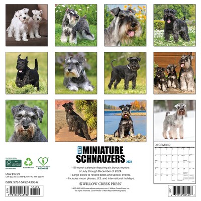 2025 Willow Creek Just Miniature Schnauzers 12 x 12 Monthly Wall Calendar (43936)