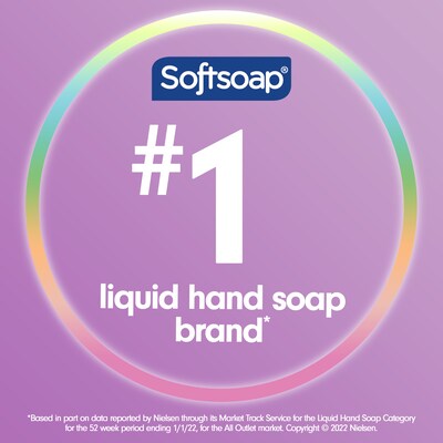 Softsoap Antibacterial Liquid Hand Soap, White Tea & Berry Scent, 6/Carton (US03574ACT)