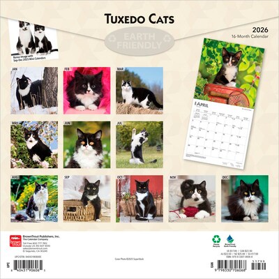 2026 BrownTrout Tuxedo Cats 12 x 12 Monthly Wall Calendar (9798330706068)