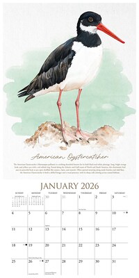 2026 Willow Creek The Art of Birds 12" x 12" Monthly Wall Calendar (56332X)
