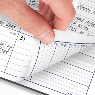2026 AT-A-GLANCE DayMinder 8.5" x 11" Weekly & Monthly Appointment Book, Plastic Cover, Gray (GC520-07-26)