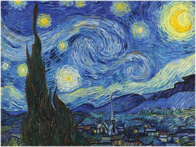 Willow Creek Van Gogh Starry Night 500-Piece Jigsaw Puzzle (49038)