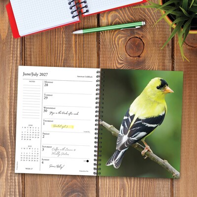 2027 Willow Creek Backyard Birds 6.5" x 8.5" Weekly & Monthly Desk Calendar (64337)