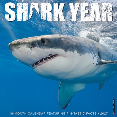 2027 Willow Creek Shark Year 12 x 12 Monthly Wall Calendar, Reversible, Assorted Colors (62289)
