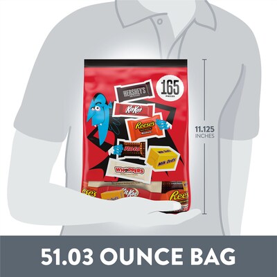 Hershey Assorted Flavored Chcocolate Variety Bulk Bag, 51.03 oz., 165 Pieces (HEC45878)