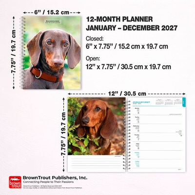 2027 BrownTrout Dachshunds 6.5" x 7.8" Calendar Year Weekly Standard Planner, Multicolor (9798330709489)