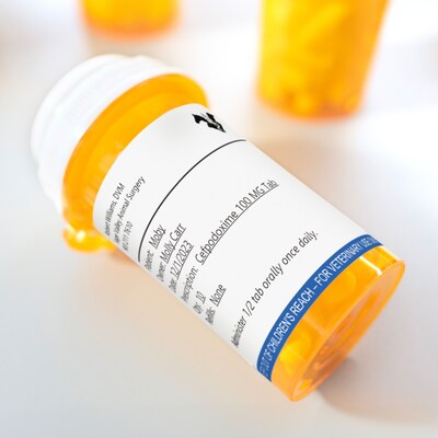 DYMO® LabelWriter™ Veterinary Prescription Labels, 2-3/4" x 2-1/8,", 400 Labels/Roll, 6 Rolls/Box (2187328)