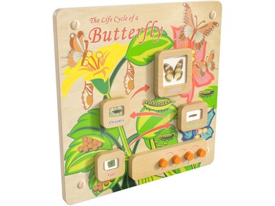 Flash Furniture Bright Beginnings Butterfly Life Cycle Wall Activity Board (MK-ME12883-GG)