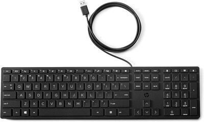 HP Desktop 320K Wired Keyboard (9SR37AA#ABA)
