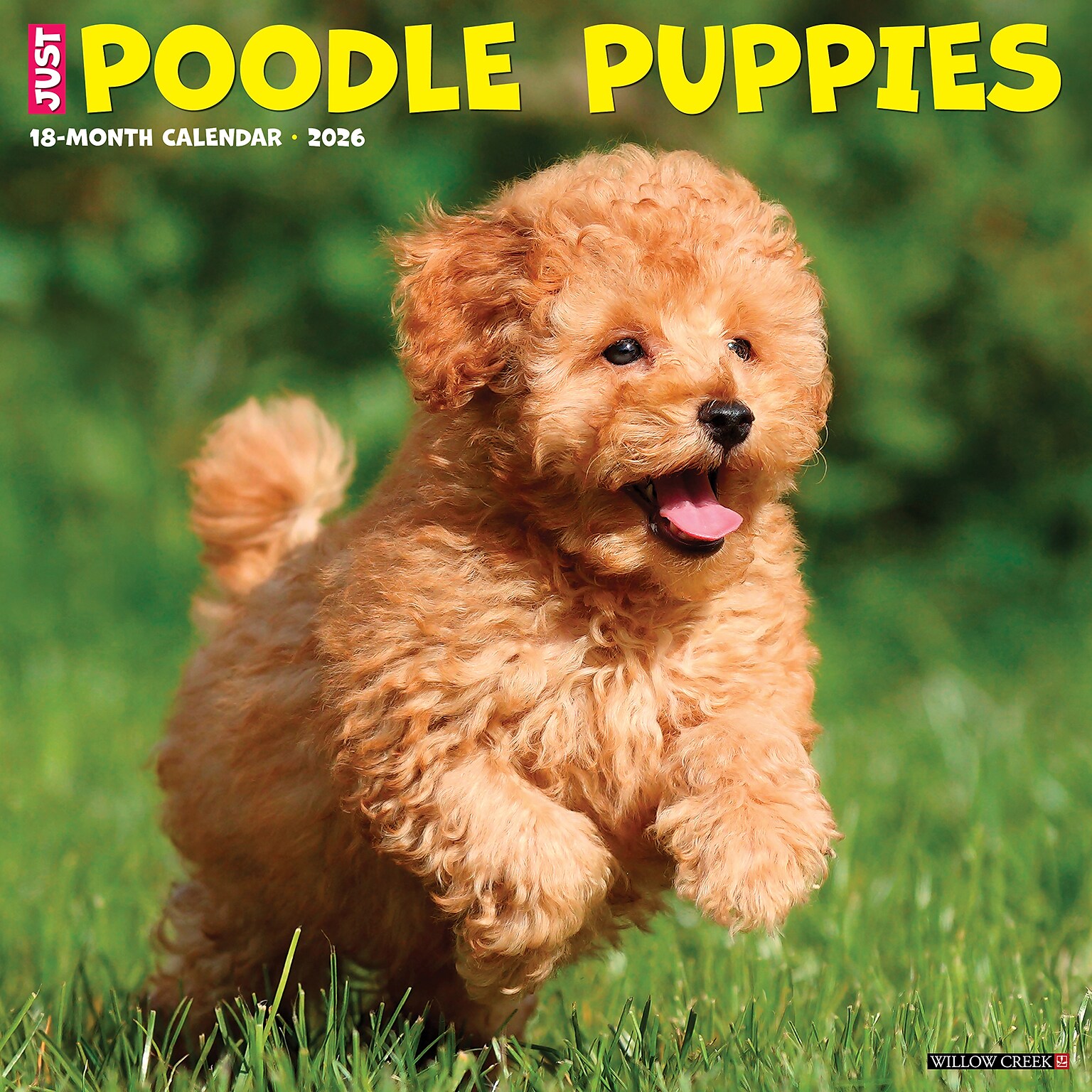 2026 Willow Creek Poodle Puppies 12 x 12 Monthly Wall Calendar (52433)