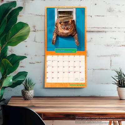 2026 BrownTrout Avanti Chatons Grognons OFFICIEL 12" x 12" Monthly Wall Calendar (9798330707287)
