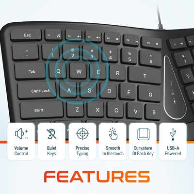 Delton KB250 Wired Ergonomic Keyboard with Cushioned Wrist Rest, USB-A, Black (DKBE250-U)