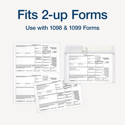 Adams 2025 1099 Envelopes, 2-Up Format, Double-Window, Self-Seal, Security Tinted, White, 25/Pack (STAX1-25)