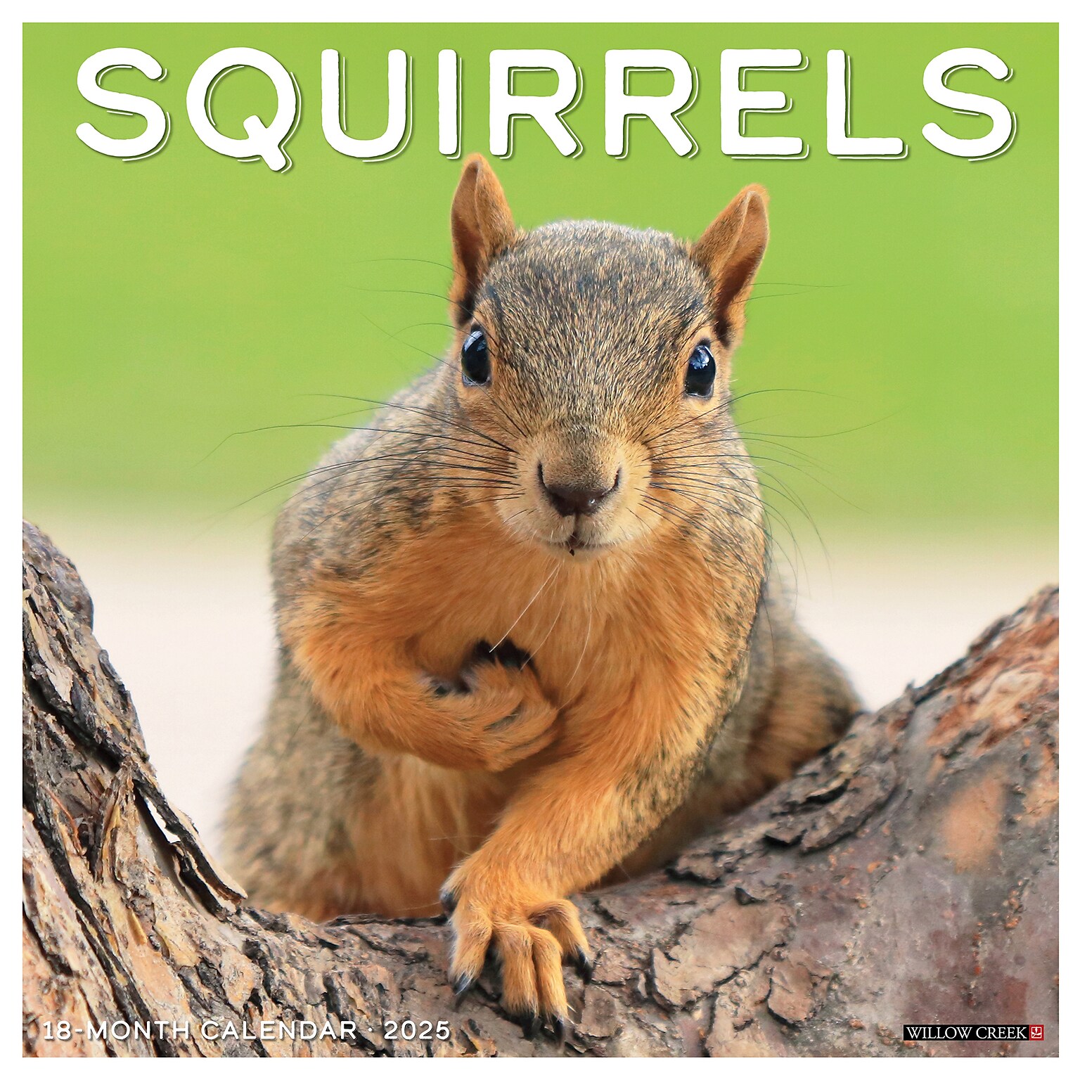 2025 Willow Creek Squirrels 12 x 12 Monthly Wall Calendar (45015)