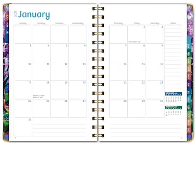 2027 Excello Brands 6" x 8" Weekly & Monthly Standard Planner, Paperboard Cover, Watercolor Tree (FSHN-CY27-58-43)