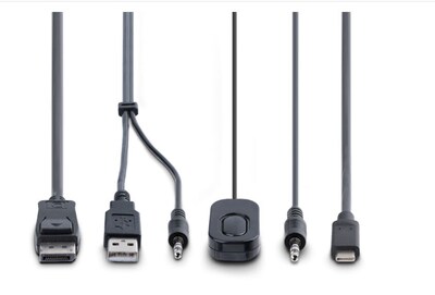 Startech 2-Port Hybrid USB-C DisplayPort Cable KVM Switch (C2-D46-UAC-CBL-KVM)