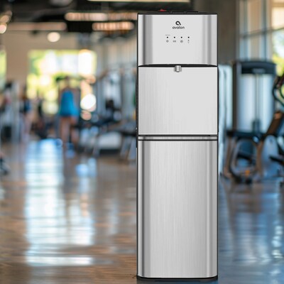 Avalon 3-Temperature Self Cleaning Water Dispenser, Stainless Steel (A5BOTTLELESS)