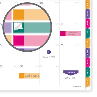 2026-2027 AT-A-GLANCE BADGE Floral 8.5" x 11" Academic Weekly & Monthly Planner, Plastic Cover, Multicolor (1791-905A-27)