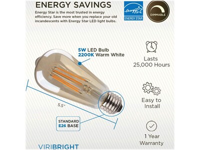 Viribright 5 Watts Warm White LED Decorative Bulb, 6/Box (ST19/641350/6)