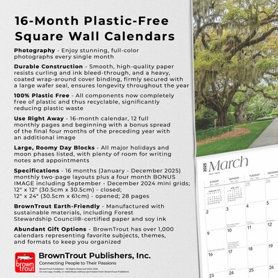 2025 BrownTrout Palmetto State South Carolina Places 12" x 12" Monthly Wall Calendar (9781975483050)
